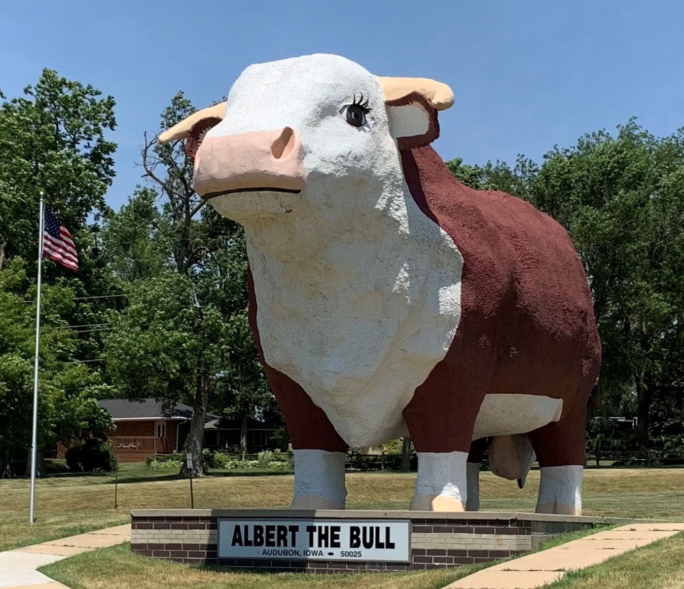 Audubon_Albert the Bull 6.17.21 (1).jpg